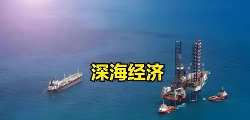 手握530億元訂單 深海科技3朵 金花 ,社保基金狂賣3260萬股